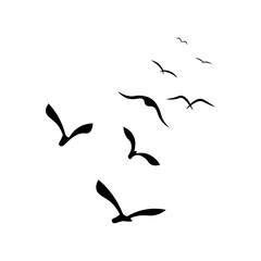 Birds Hand Drawn Element