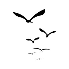 Birds Hand Drawn Element