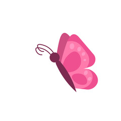 Butterfly Element