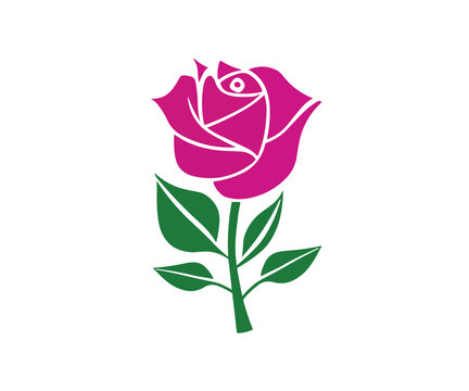 Rose illustration vector image