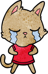crying cartoon cat