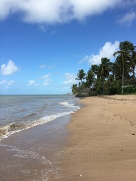 Praia do Patacho Brazil