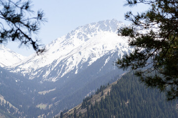 Mountains with snowy peaks and trees (forest) in Kazakhstan, near the Ayusay visitor center