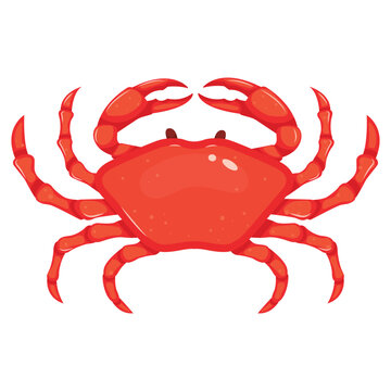 Vector cartoon image of a crab. The concept of restaurant dishes and seafood. A juicy and bright element for your design.