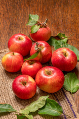 Naklejka na ściany i meble Homegrown red devil apples are freshly picked—vertical image.