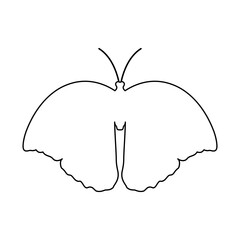 The insect concept is presented in the form of a butterfly silhouette icon on a white background.