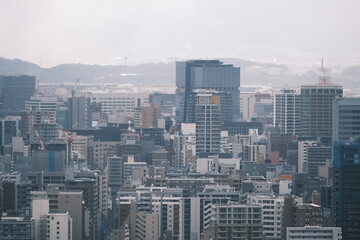 福岡市　風景　福岡タワーより　2023年1月