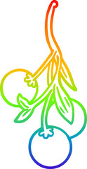 rainbow gradient line drawing of a Cartoon mistletoe