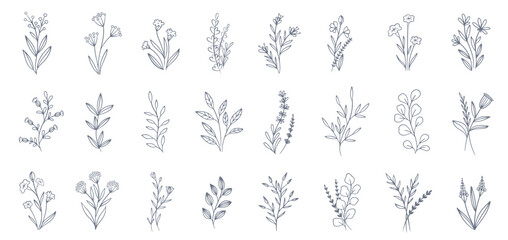 Drawing flowers and leaves vector set. Hand drawn thin floral. Garden plants, branches, leaves, flowers, herbs collection.