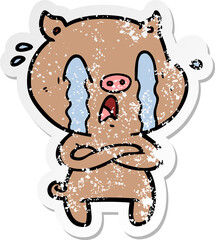 distressed sticker of a crying pig cartoon