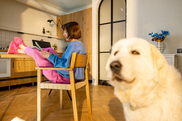 Young woman works on tablet online while sitting relaxed by the table at cozy home atmosphere, her dog infront. Concept of home office and remote work