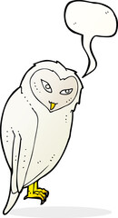 cartoon owl with speech bubble