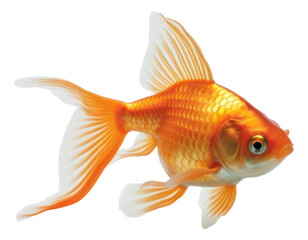 Goldfish isolated. Generative AI.