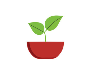 Plant in the pot leaf in vase illustration vector image