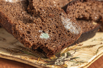 Dry musty bread. Spoiled, non-consumable food. Slices of black bread, covered with mold. Mold on bread