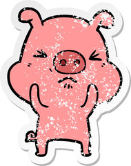 distressed sticker of a cartoon angry pig