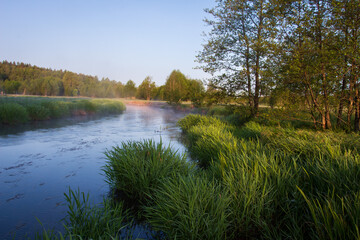 Beatiful scenery of river and green meadow on sunrise. Fresh morning in summer on the river. The river winding with green coasts. Light mist risesover river and meadow after sunrise. 