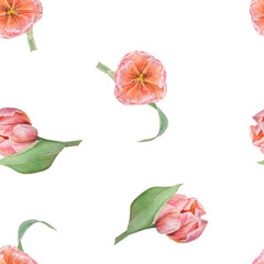 Pink tulips seamless pattern painted in watercolor, realistic botanical hand drawn illustration, background for design, wedding print products, paper, invitations, cards, fabric