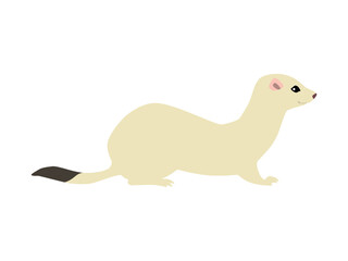 Animal illustration. Lying weasel in winter coat drawn in a flat style. Isolated object on a white background. Vector 10 EPS