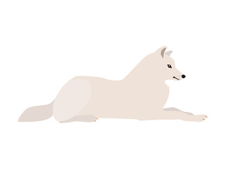Animal illustration. Lying arctic arctic wolf in a flat style. Isolated object on a white background. Vector 10 EPS