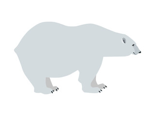 Animal illustration. Polar bear drawn in a flat style. Isolated object on a white background. Vector 10 EPS