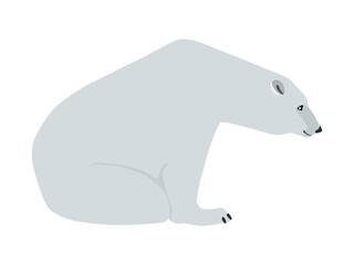 Animal illustration. Sitting polar bear drawn in a flat style. Isolated object on a white background. Vector 10 EPS
