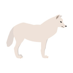 Obraz na płótnie Canvas Animal illustration. Arctic arctic wolf in a flat style. Isolated object on a white background. Vector 10 EPS