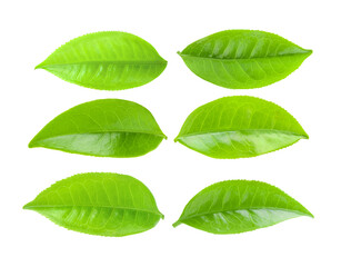 tea leaves on transparent png