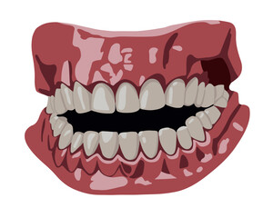 Vector isolated illustration of human jaw with teeth. Dentist. Treatment of teeth. Teeth whitening. Brushing teeth. Dentistry.