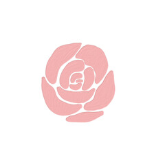 flower oilpaint or acrylic style with picture pink rose 