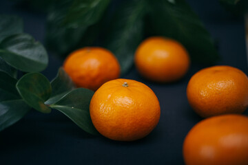 Juicy orange tangerines surrounded by green leaves on a dark background close-up with copy space