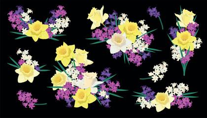 A set of vector bouquets and compositions of spring flowers. White, purple and pink hyacinths and yellow daffodils. The concept of design of postcards and invitations. Wedding clip art.