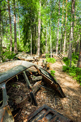 Fototapety na wymiar - Fototapeta24.pl