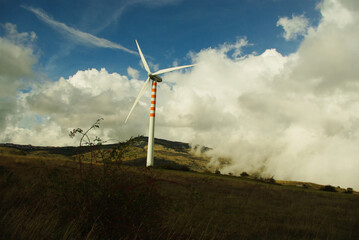 Landscape with wind turbines to produce electricity without pollution and by exploiting wind energy