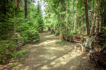 Fototapety na wymiar - Fototapeta24.pl