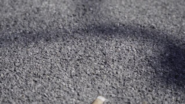 Cigarette butt on the asphalt