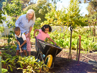 Grandchildren Helping Grandmother Working In Vegetable Garden Or Allotment With Barrow At Home