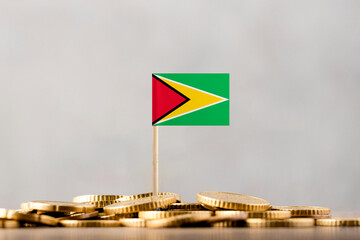 The Flag of Guyana with Coins.
