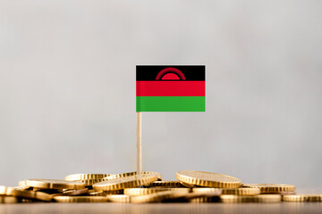 The Flag of Malawi with Coins.