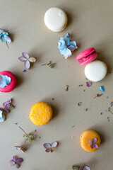 Macarons on a neutral and warm table, flat lay with dried flowers