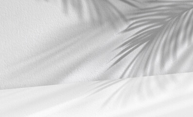 Studio background,Concrete wall texture with coconut palm leaves shadow overlay on white Cement...
