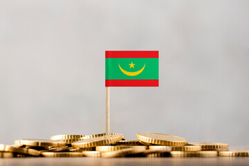 The Flag of Mauritania with Coins.