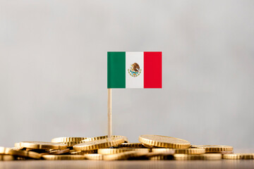 The Flag of Mexico with Coins.