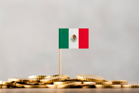 The Flag of Mexico with Coins.