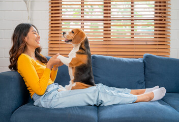 Side view of young Asian girl hold foreleg of beagle dog stand on her lap on the sofa in the house with day light and they look happy to fun and relax together.
