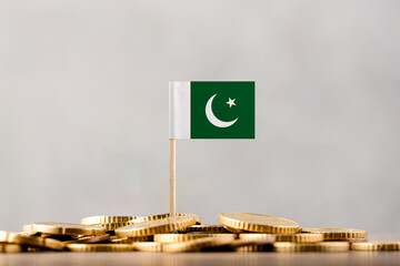 The Flag of Pakistan with Coins.