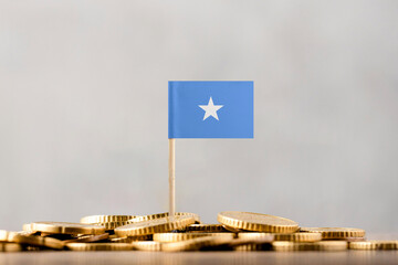 The Flag of Somalia with Coins.