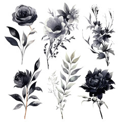 Set of deep black floral watecolor. Flower black, black leaves. Floral poster, invitation floral. Vector arrangements for greeting card or invitation design	