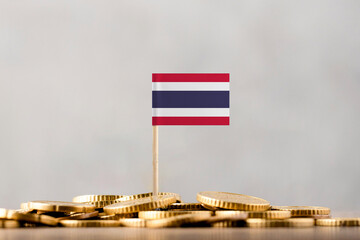 The Flag of Thailand with Coins.