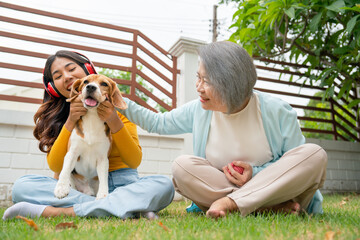 Asian senior and young woman as mother and daughter enjoy to play with beagle dog in front lawn of their house with day light.